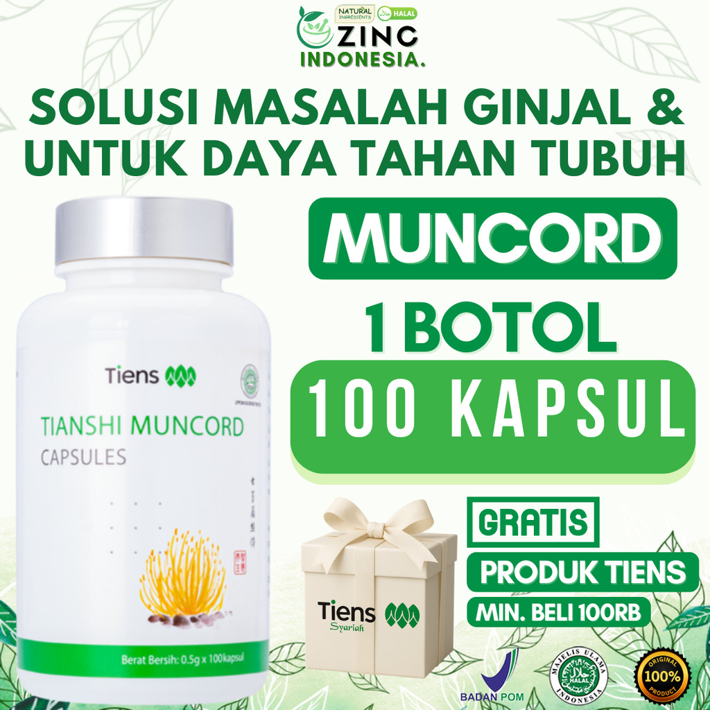 Tiens Muncord Cordyceps Mycelium 500 mg Peningkat Imunitas Tubuh Daya Tahan Tubuh Penambah Stamina 1