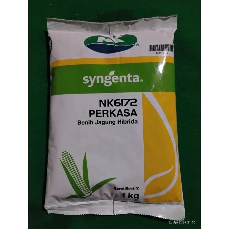 Benih JAGUNG NK PERKASA 6172 1KG #NK Perkasa #jagung perkasa#bibit jagung nk perkasa
