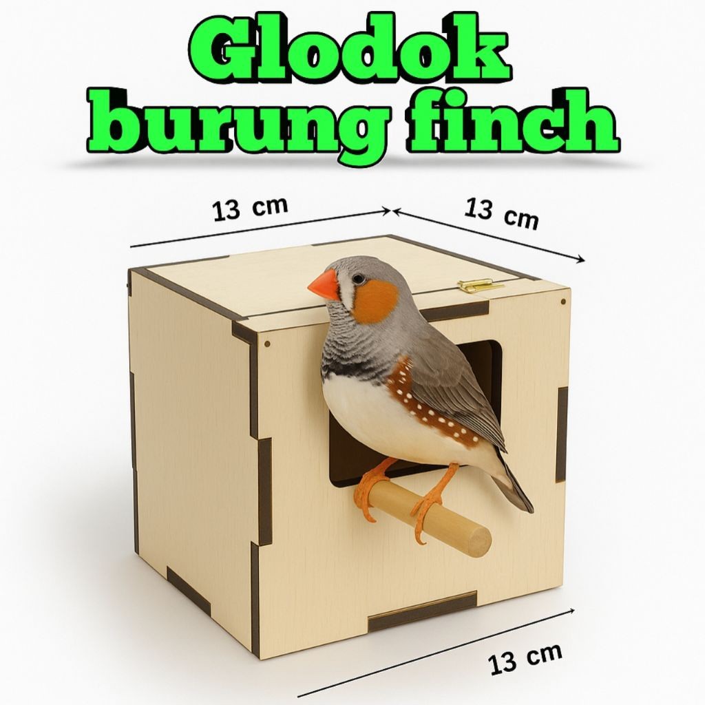 glodok 13x13x13cm burung finch emprit jepang zebra finch gould amadine