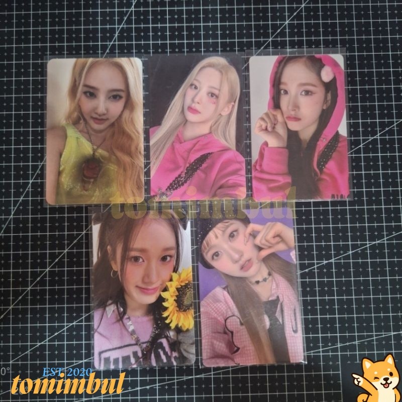 STAYC Official Photocard Isa Sieun Seeun J Teddy Bear PC Album