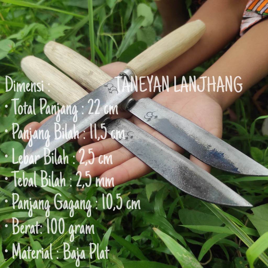 Pisau Kecil Tajam Kuat/Pesau Dapur Kecil/Pisau Raut/Pisau Kecil Buat Bambu/Pisau Madura Ori/Pisau Mu