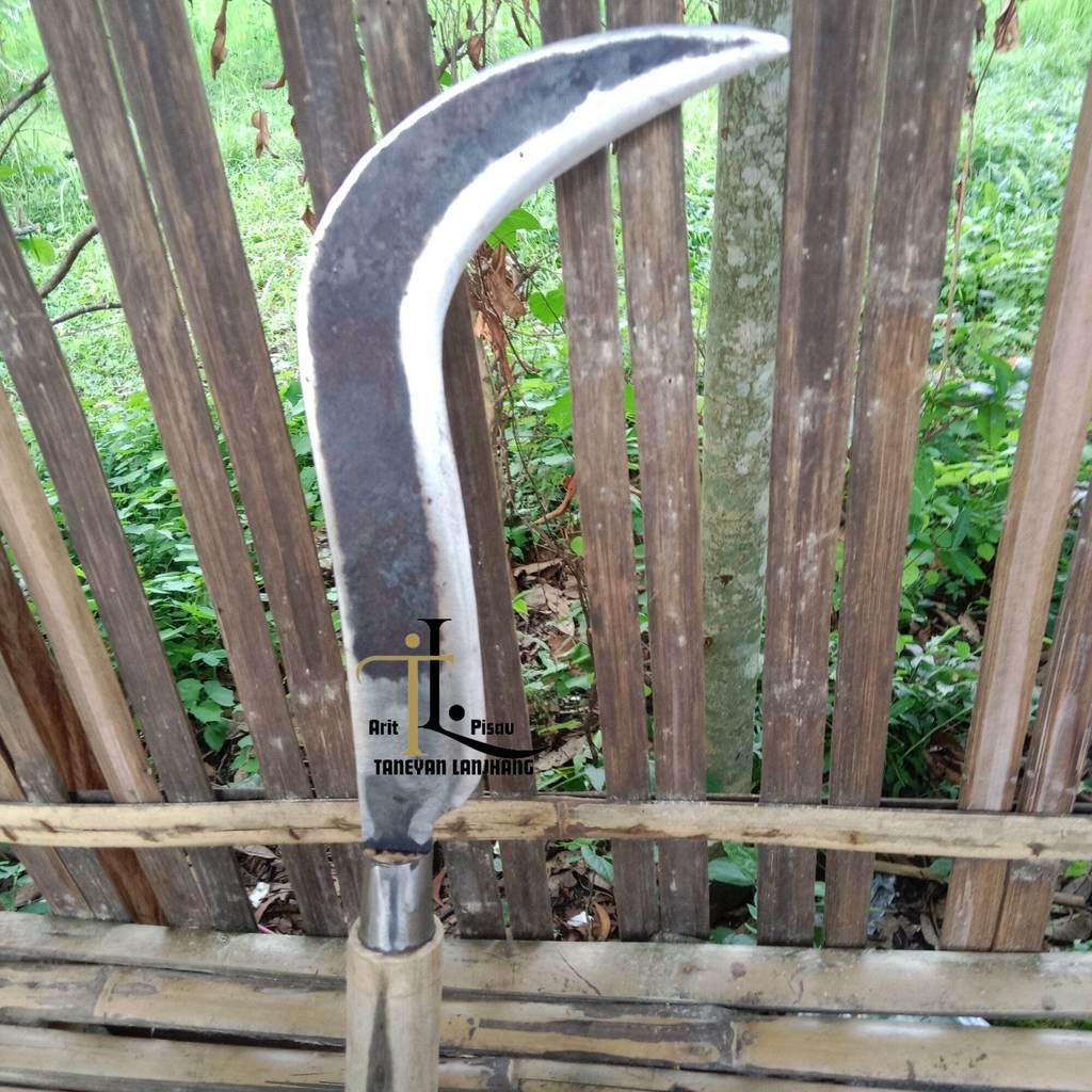 Pisau Arit Cap Bintang Hn Ukuran 47 Cm / Pelong Atau Arit Tekok Paroh Atau Pisau Arit Asli Madura / 