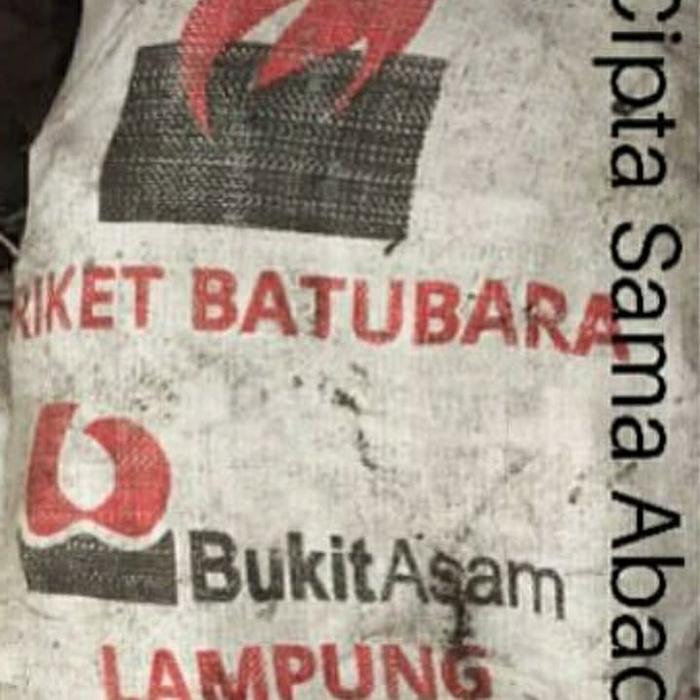 Briket Batubara Bukit Asam