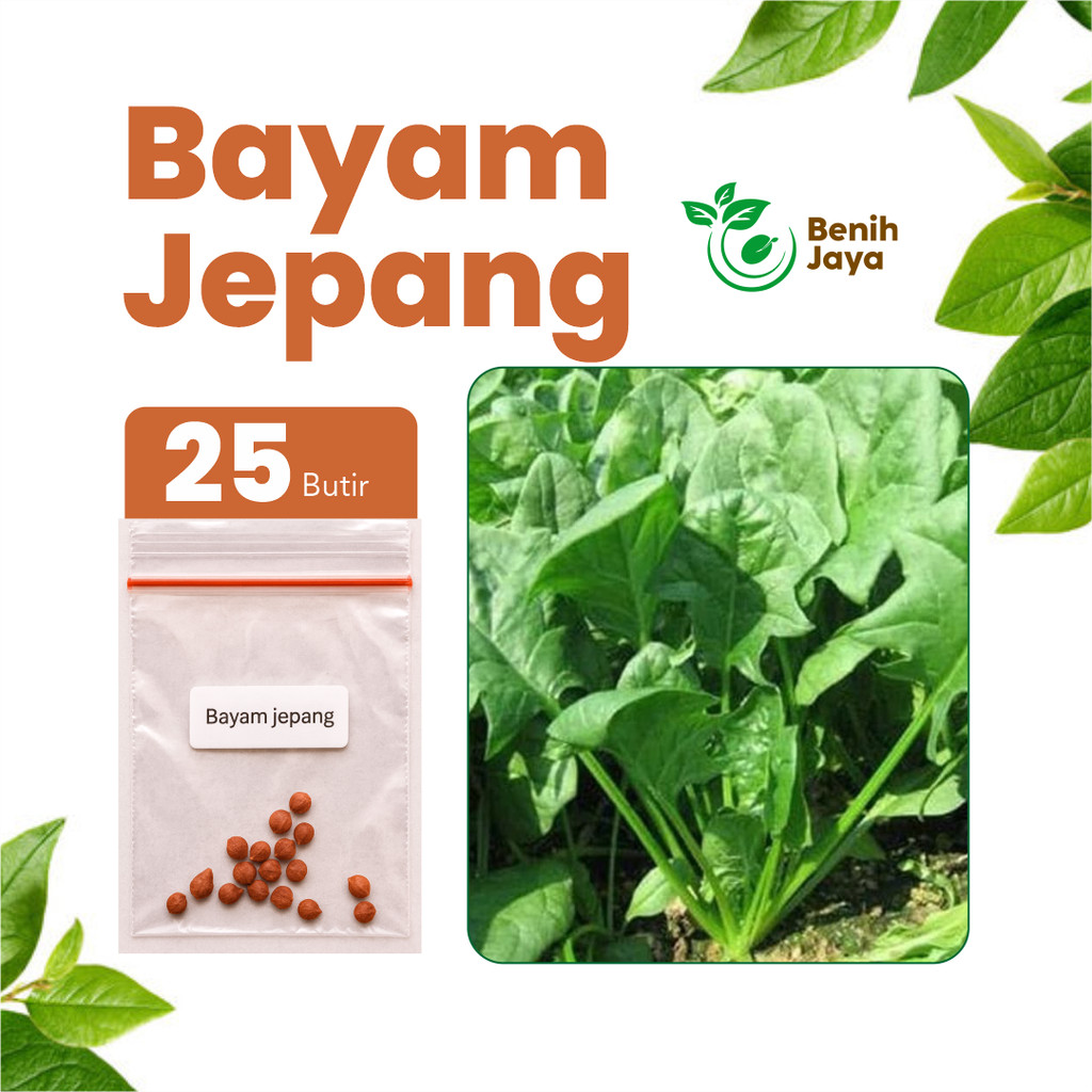 BENIH JAYA - Benih Sayur Bayam Jepang Hijau Benih Bayam Jepang Unggul Super Bibit Premium