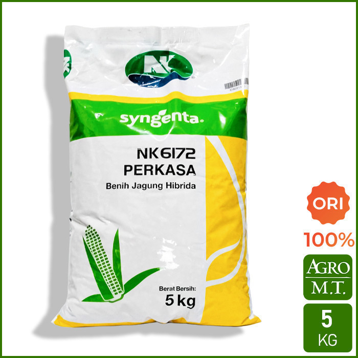 Nk 6172 PERKASA (5Kg) Benih Jagung Hibrida - ORI Syngenta