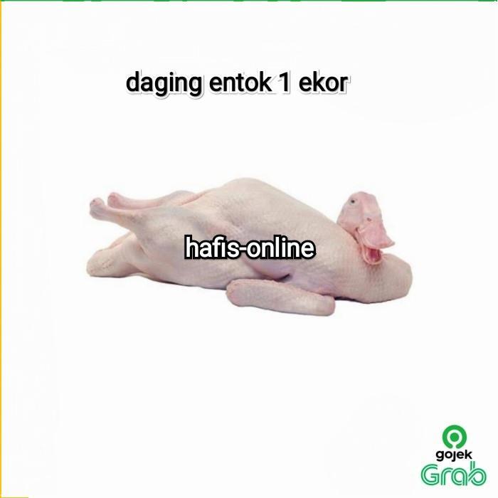 Daging Entok 1 Ekor Segar - 700-800 gram