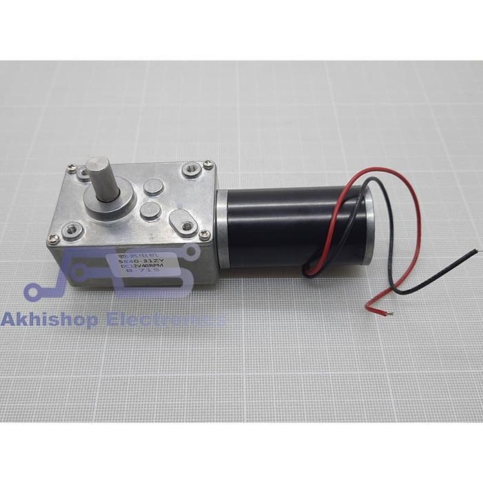 Permanent Magnet Worm Gear Motor DC 4058GW31ZY 12V 40RPM