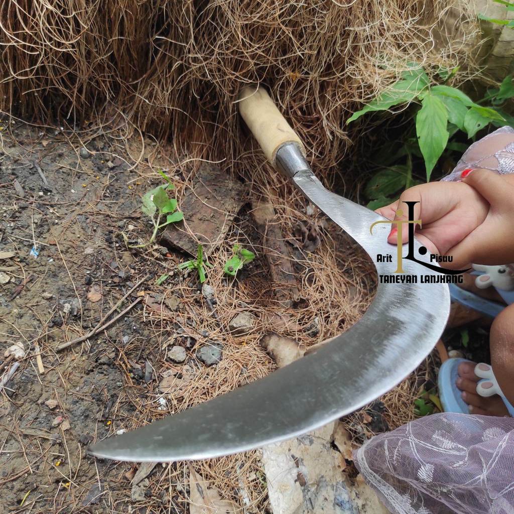 Arit Rumput Cap S Bawah Baja Asli Model Petonasen / Sabit Baja Asli Super Tajam / Arit Rumput Madura