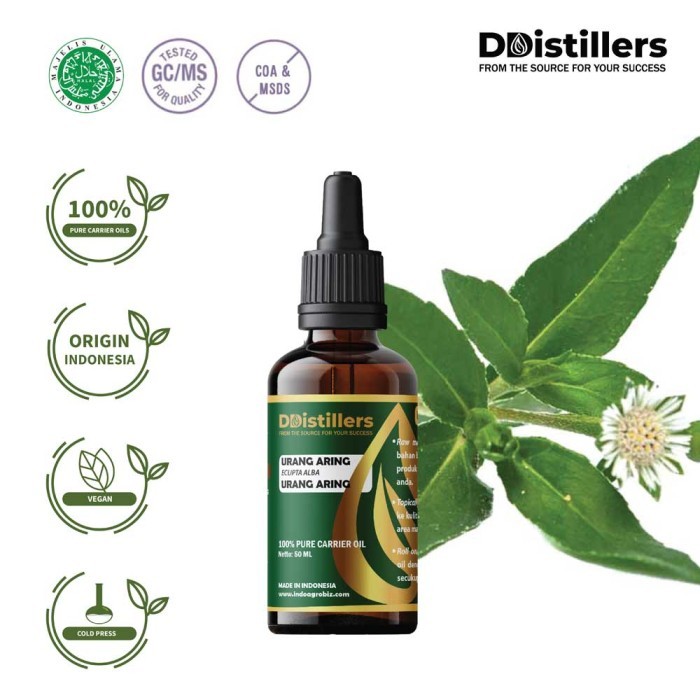 Urang Aring / Urang Aring Carrier Oil Asli 100%, 50-100ML GS