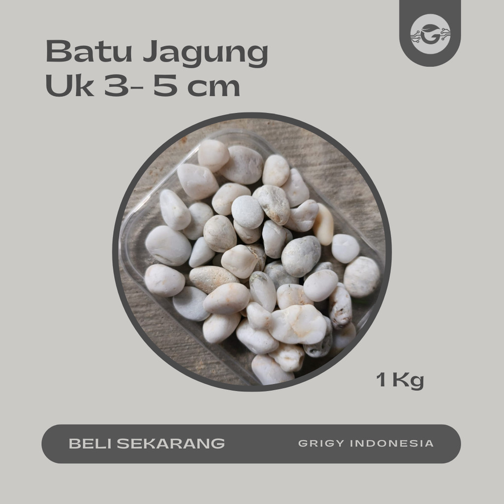 BATU JAGUNG PUTIH WHITE CORN PEBBLE STONE 1 KG