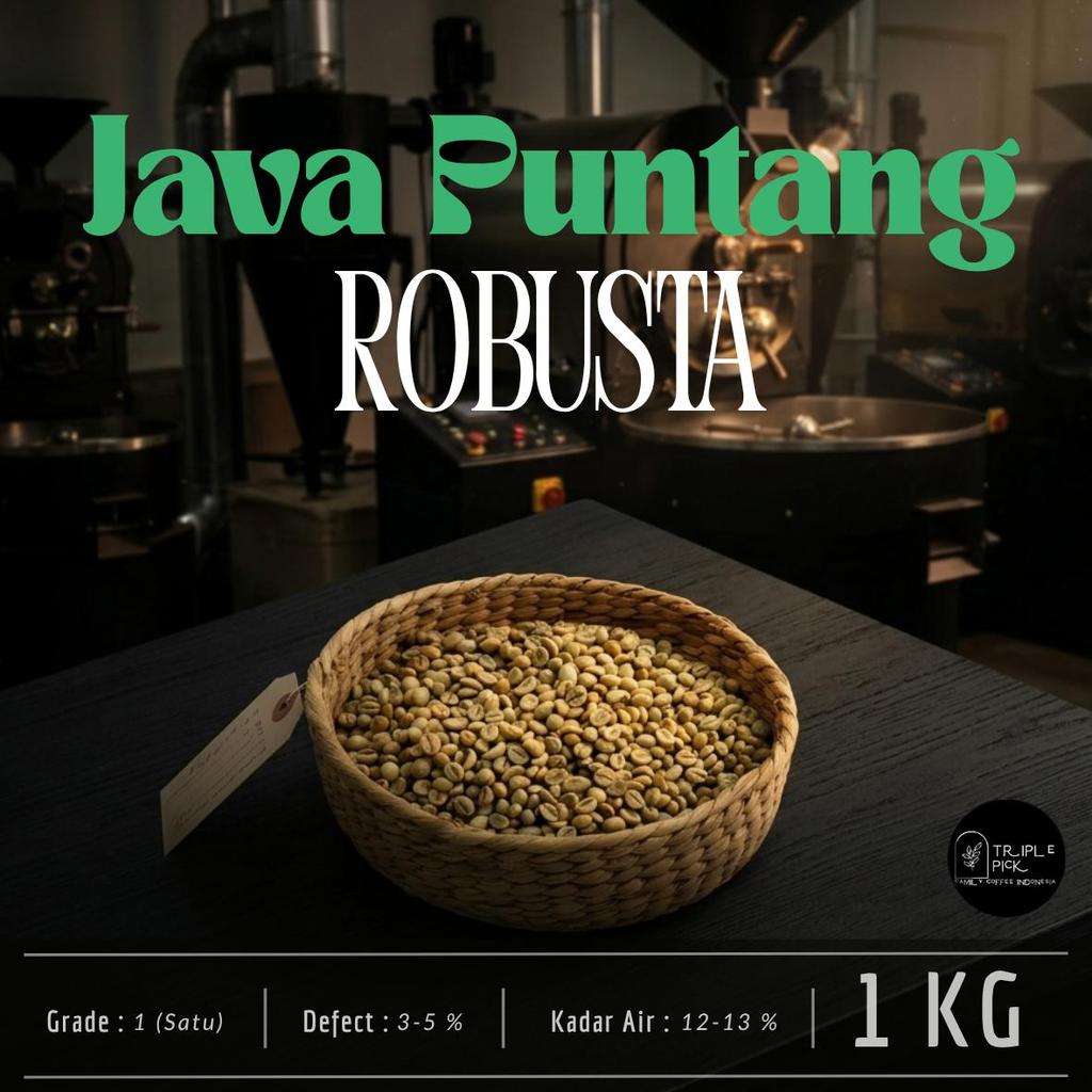 green bean / Biji kopi robusta Puntang  TERMURAH