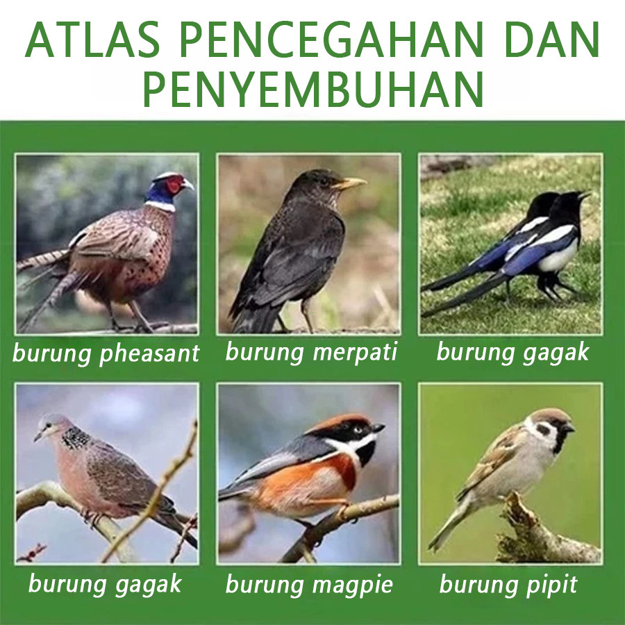 Racun Burung Pipit Alat Pengusir Burung Multifungsi Pengusir Tikus Pelindung Tanaman Rumah Sawah