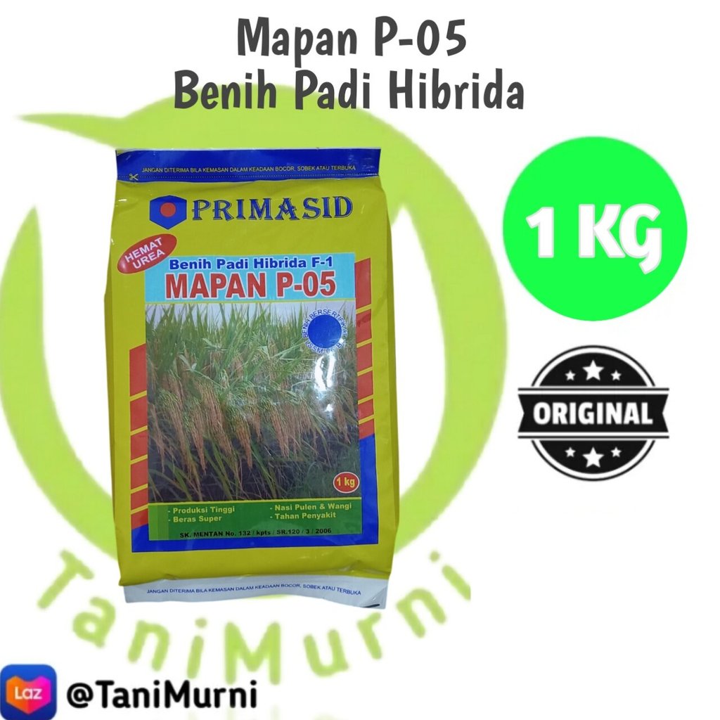 Benih Padi Hibrida MAPAN P-05 Kemasan 1 kg. Daya kecambah 80 % ( STOCK READY ) #padi mapan 05 asli #