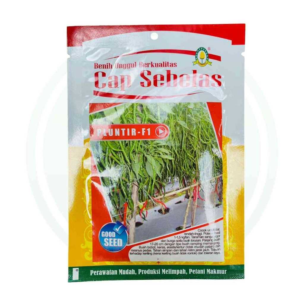 Benih Cabe Keriting PLUNTIR F1 10gram dari Cap Sebelas