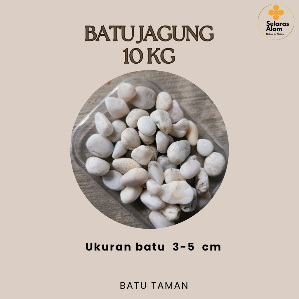 BATU JAGUNG PUTIH WHITE CORN PEBBLE STONE  10 KG