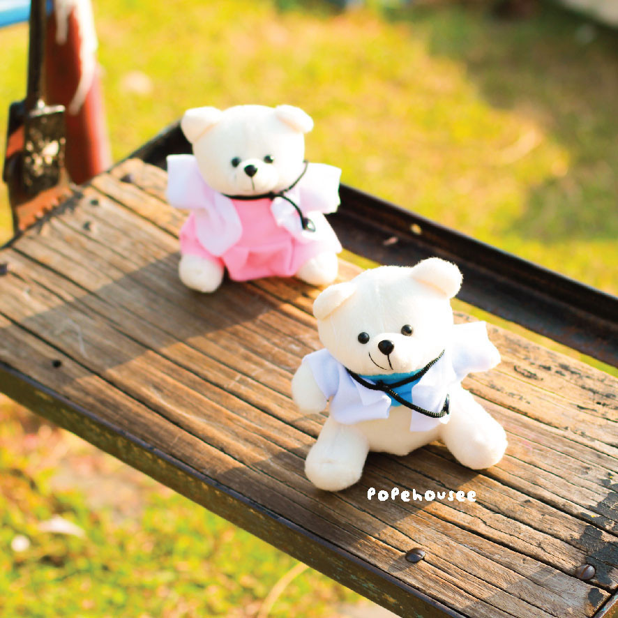 Boneka Dokter Size 15Cm Beruang Ready Stok Grosir Souvenir Hadiah Ulang Tahun Profesi Ultah Graduati