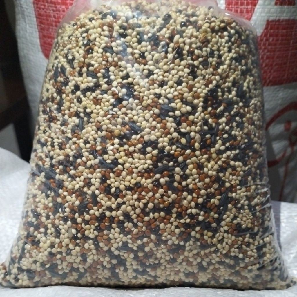 MILET PUTIH CAMPUR MILET HITAM, MILET MERAH, DAN KETAN HITAM , GACOR UNTUK BURUNG PERKUTUT, LOVEBIRD