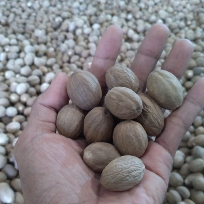 Biji pala utuh 100 gr / biji pala bulat / biji pala kupas / biji pala / nutmeg seed