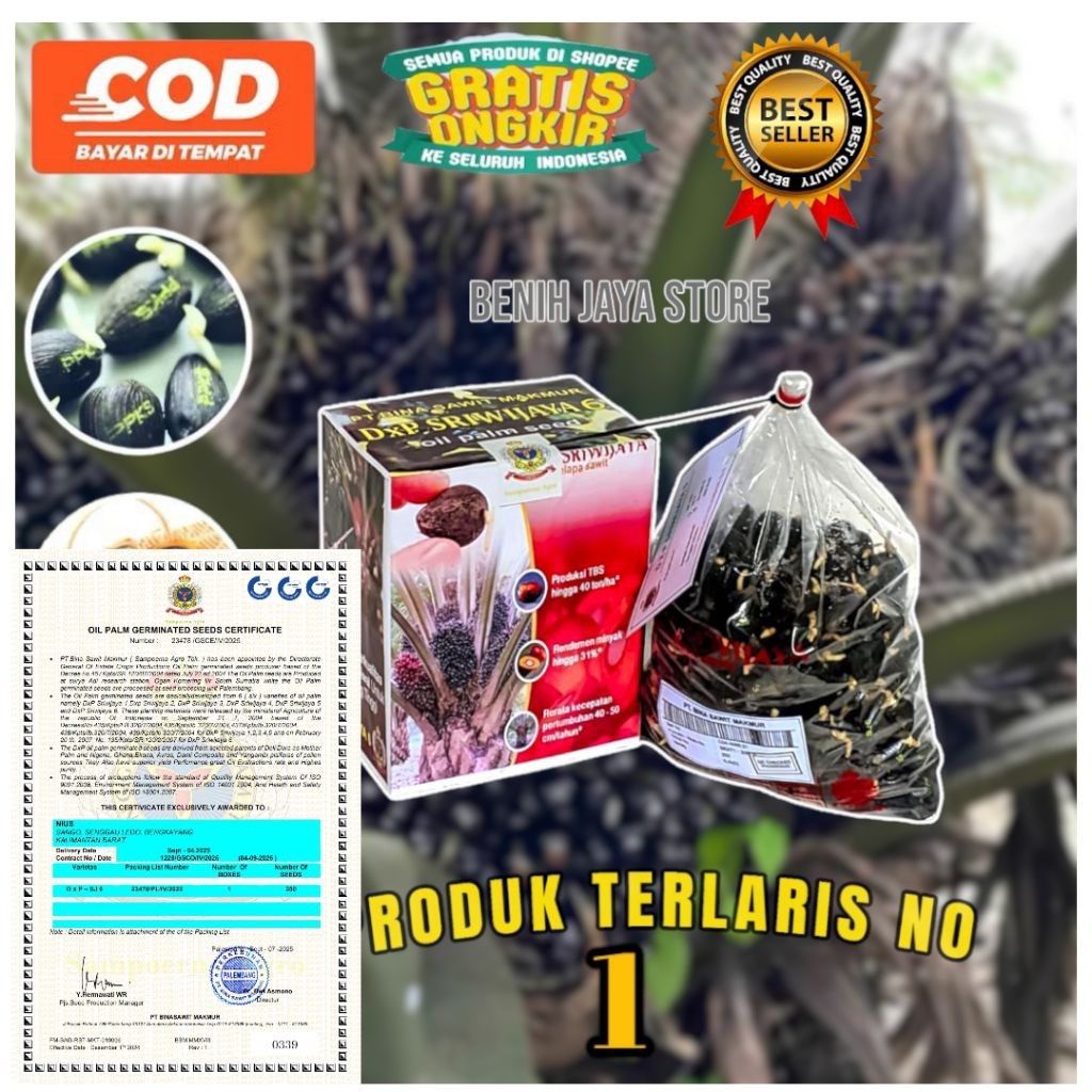 Kecambah Sawit Sriwijaya 6 Super Unggul Bersertifikat 250 Butir