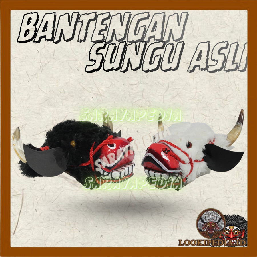 Bantengan Bulu Sungu Asli  Bantengan LKP