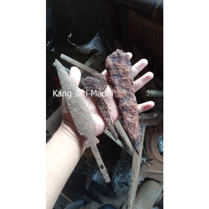 mata tombuk dan kudi kabudan  - kudi Asli Paling Mewah TR6755