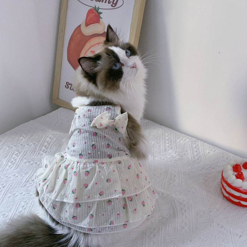 [TamanPet] Pakaian anjing dan kucing tipis untuk mencegah rambut jatuh boneka kucing bayi gaun