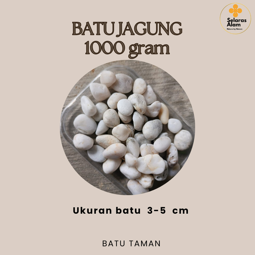 BATU JAGUNG PUTIH WHITE CORN PEBBLE STONE 1 KG