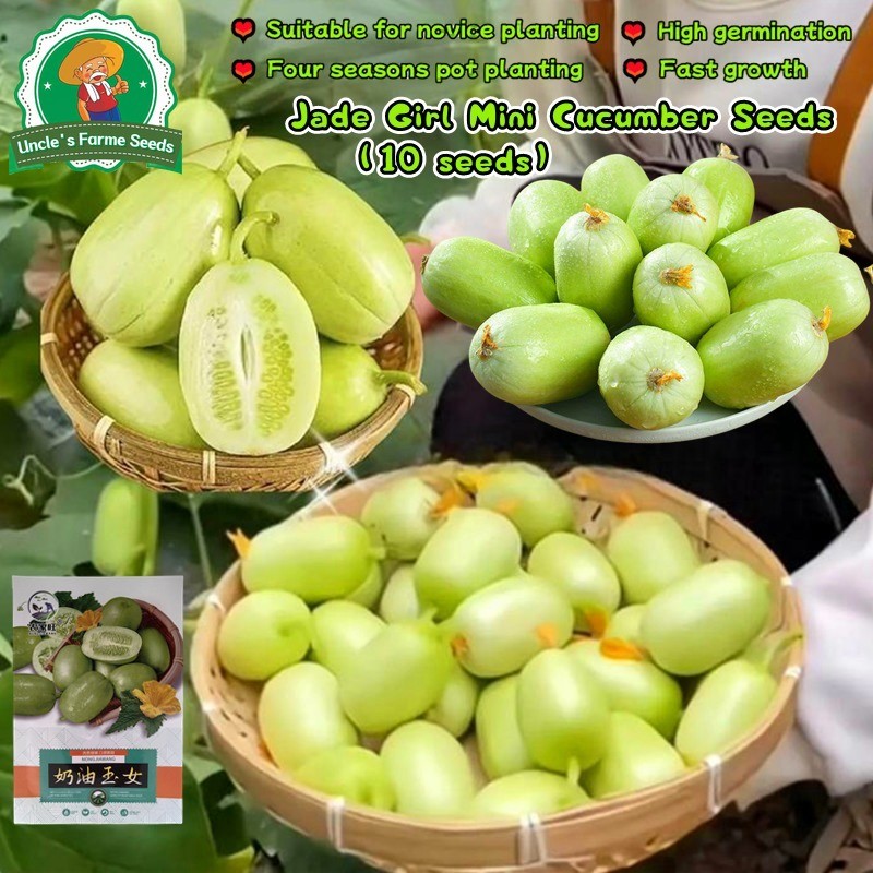 10pcs/pack Fresh Organic High Yield Jade Girl Mini Cucumber Seeds for Planting Vegetables Plants Fas