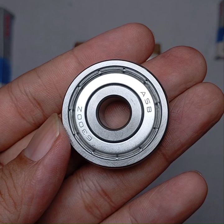 Laker Bearing 6300 Z ASB