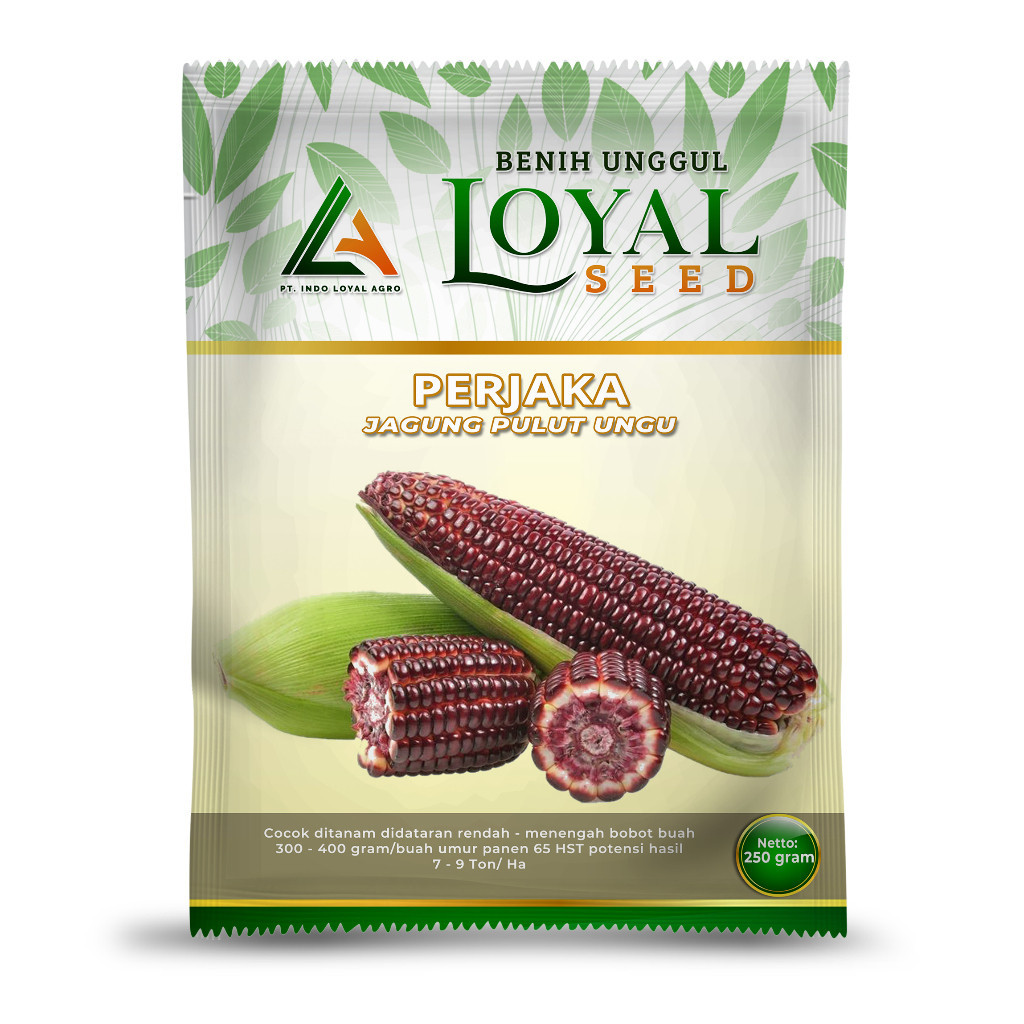 Benih Jagung Pulut Ketan Ungu PERJAKA 250 Gram Biji Bibit CAP LOYAL SEED