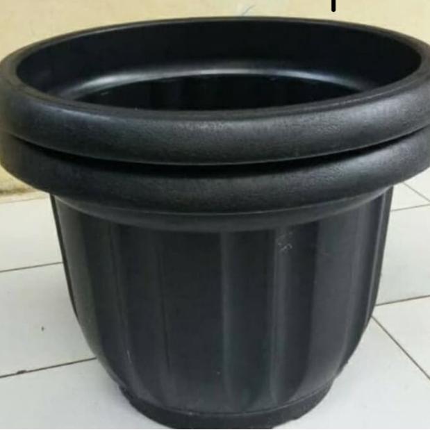 Pot tanaman eboni / pot besar 50 cm