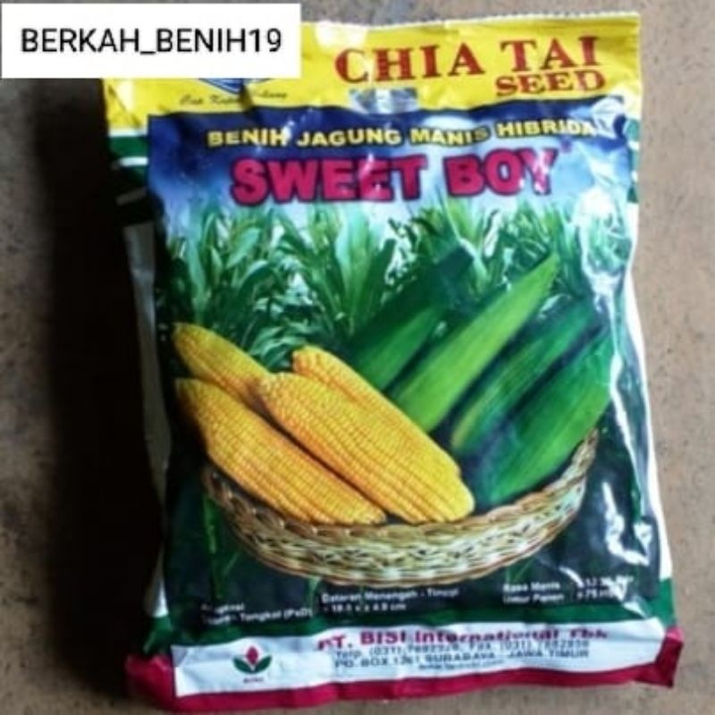 KEMASAN RIPACK TERLARIS 250gr JAGUNG MANIS SWEET BOY UNGGULAN