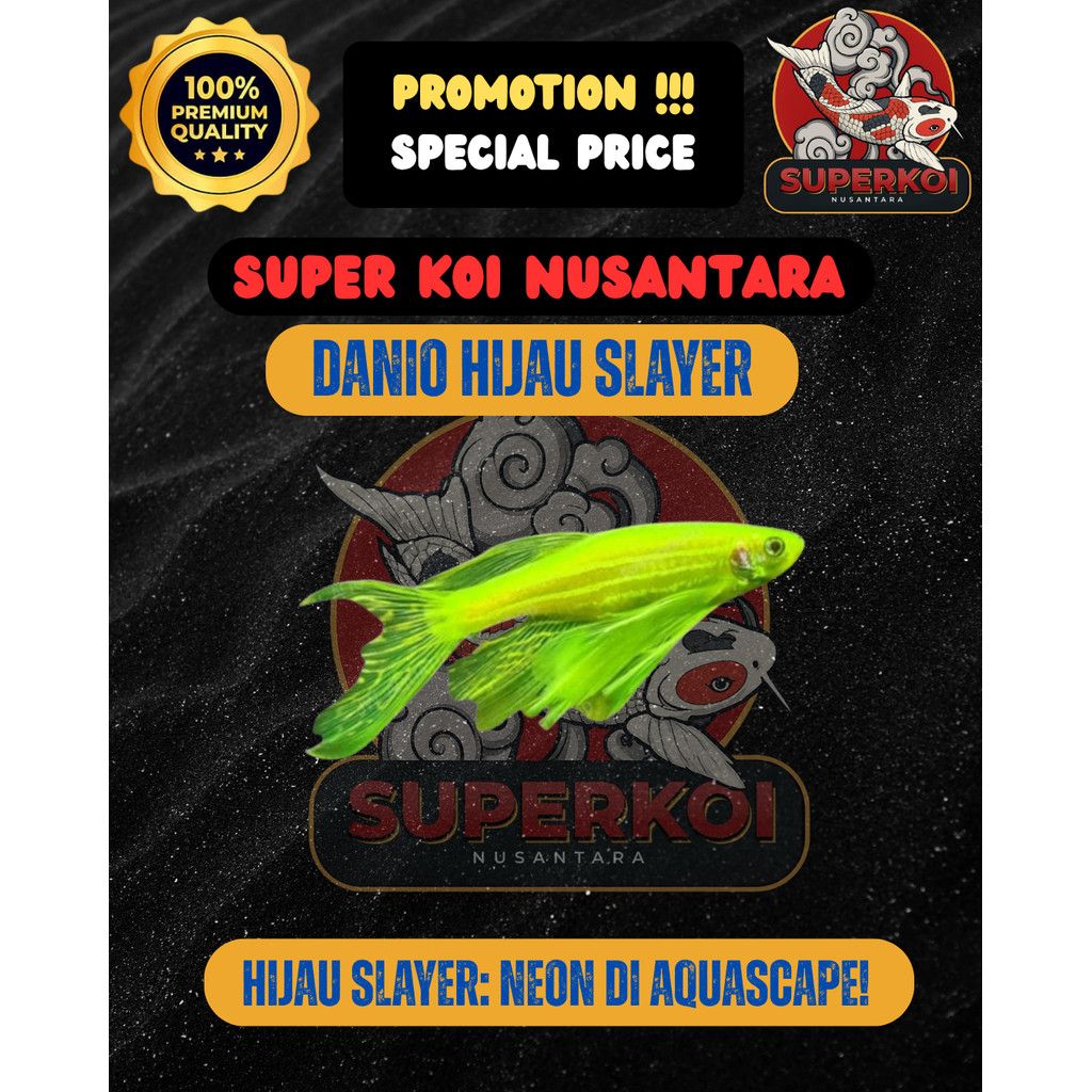 IKAN HIAS DANIO SLAYER MIX BERBAGAI WARNA DANIO HIJAU , DANIO PINK , DANIO BIRU , DANIO KUNING WARNA