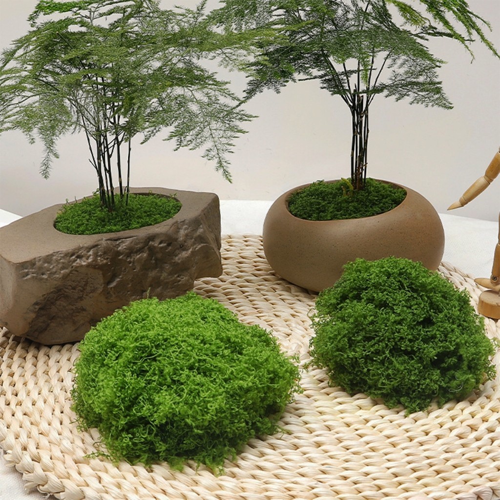 100G Rumput Sintetis Aquascape Aquarium Tawetan Tahan Lama Jadi Lem Lembut Hijau