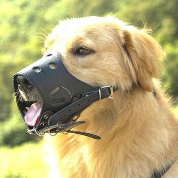 Masker Dog Muzzle PU Leather - Brangus brongsong kulit imitasi untuk anjing