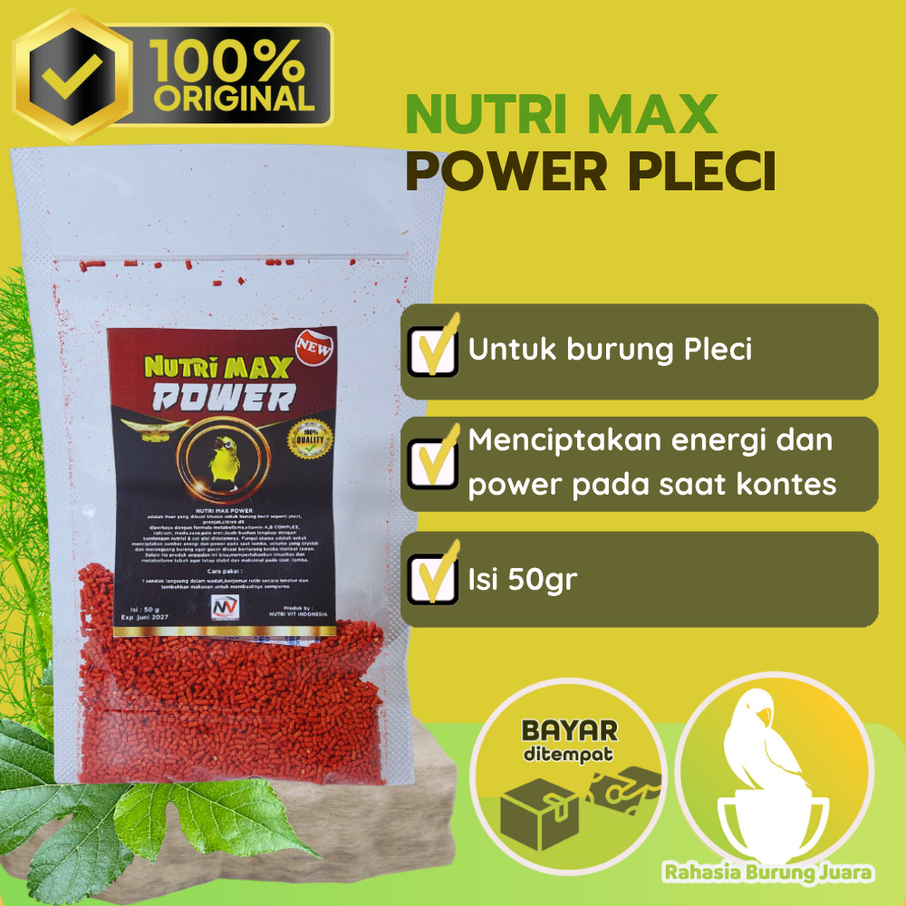 Voer Nutri Max Power pakan makanan bervitamin burung Pleci bertenaga dan Gacor