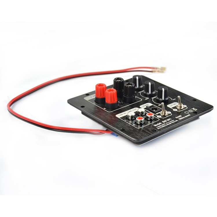 AIYIMA 21 gital Subwoofer SMD Integrated Amplifier Auo Board Independent 20 Channel Output Home Soun