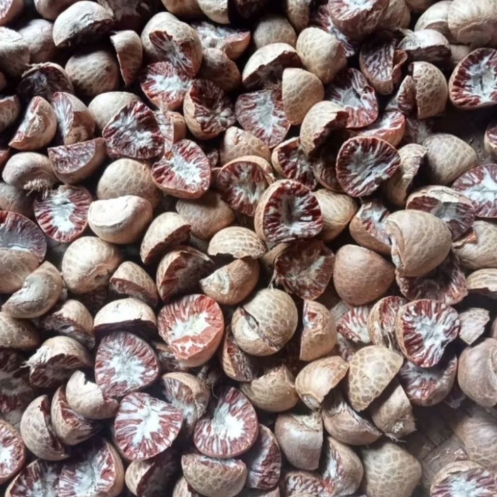 Pinang kering biji pinang kering asli 100gram