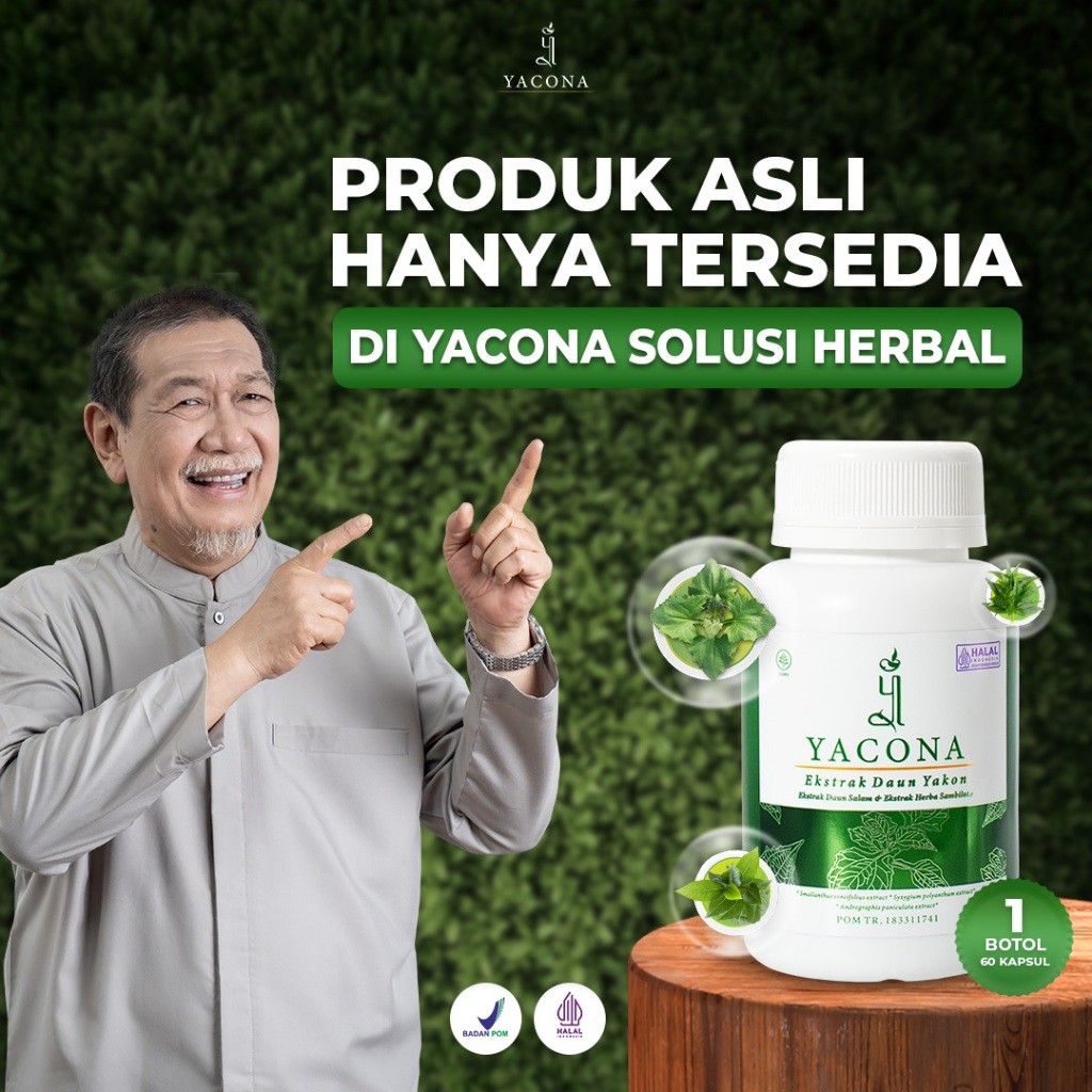 Obat Diabetes Herbal Gula Darah Tinggi Yacona Kapsul Diabetes 60 Kapsul