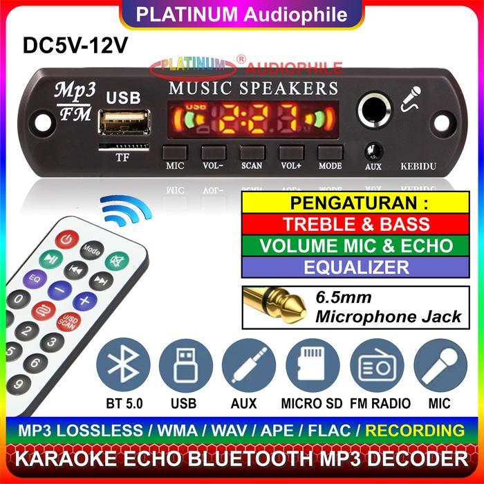 lensakitabest Modul MP3 Decoder Bluetooth 5.1 Karaoke Mic echo Multimedia Speaker 163BT