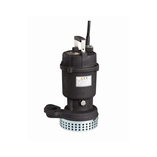 POMPA EBARA 50 DS/DSA/DSJ 51.5 - 50 DS 51.5 - 50 DS 51.5 - DJT - 50 DS 51.5