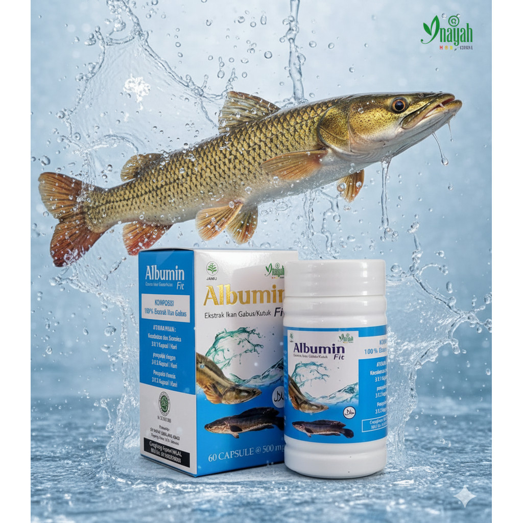 Albumin Fit - Kapsul Ekstrak Ikan Gabus Original 60 Kapsul / Ekstrak Albumin Ikan Gabus INAYAH