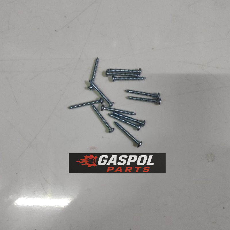 Baut Mika Sein TS 125