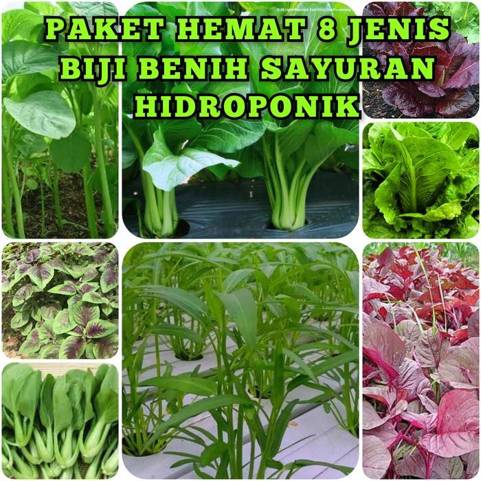 promo Paket Hemat Benih Sayuran Hidroponik Lengkap Bibit Unggul Siap Tanam