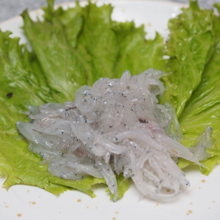 Teri Nasi Basah Segar 500gr / Ikan Teri Medan / Teri Basah Siap Masak