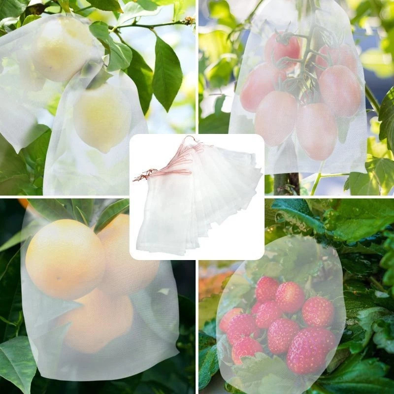 _Shopelite 100Pcs Fruit Cover/Pembungkus Buah/Fruit Cover Anti Serangga/Fruit Cover Net Jaring