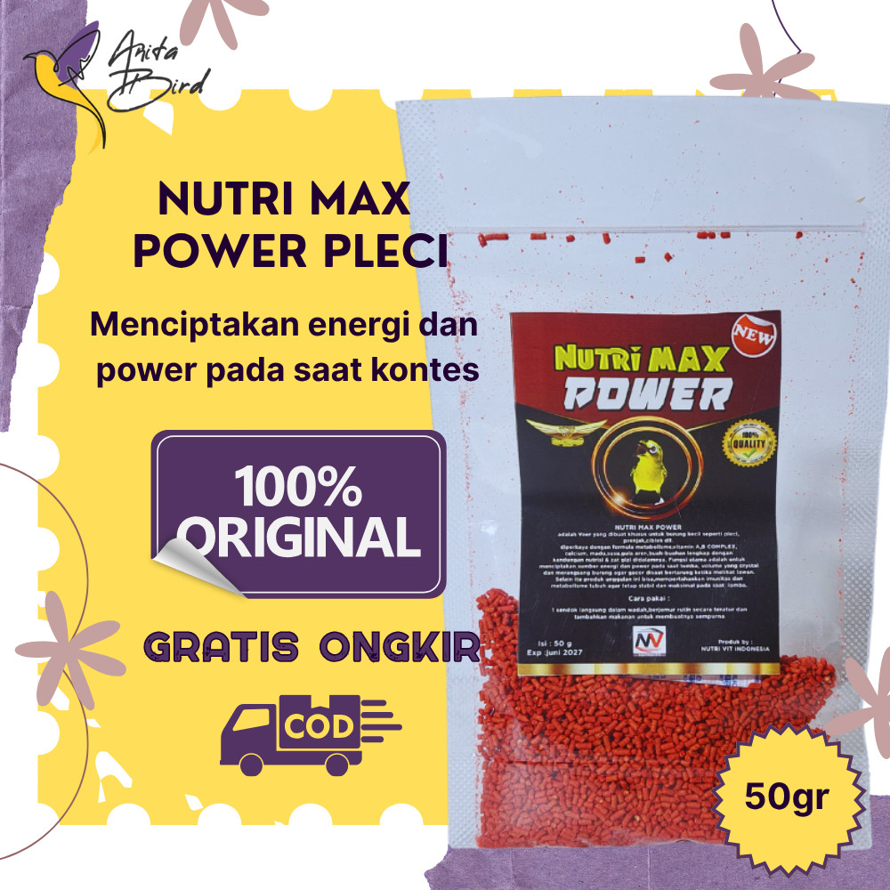 Nutri Max Power 50g Voer Pleci Premium Pakan Burung Pleci Biar Gacor & Ngerol Panjang