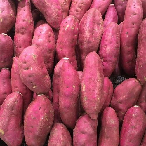 Ubi jalar pulen 1 kg (bisa cod)