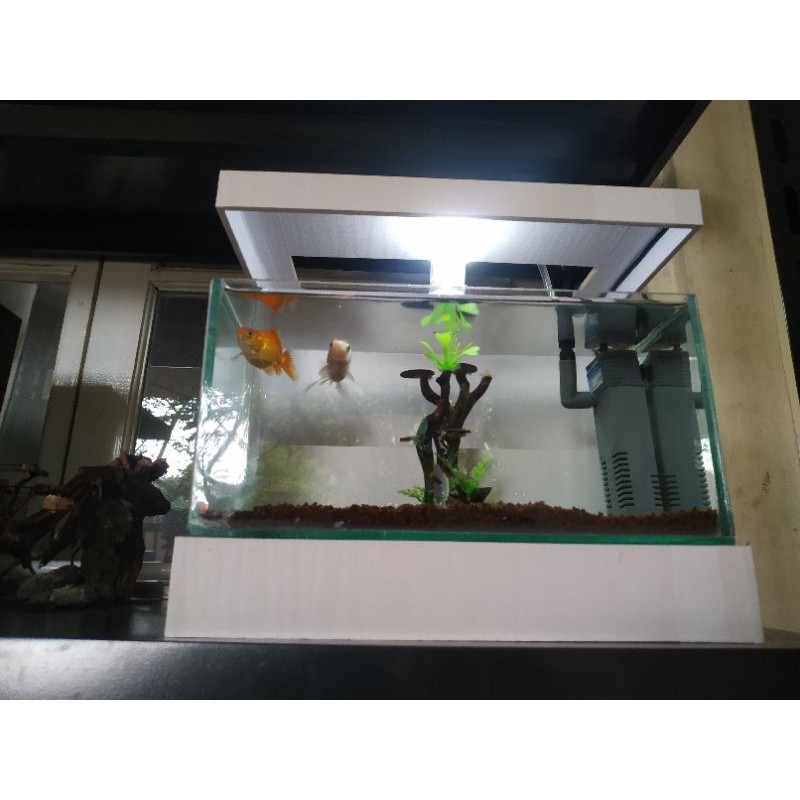 SETIALARIS STORE Akuarium Aqua Scape Ikan Hias Akuarium Minimalis Fulset