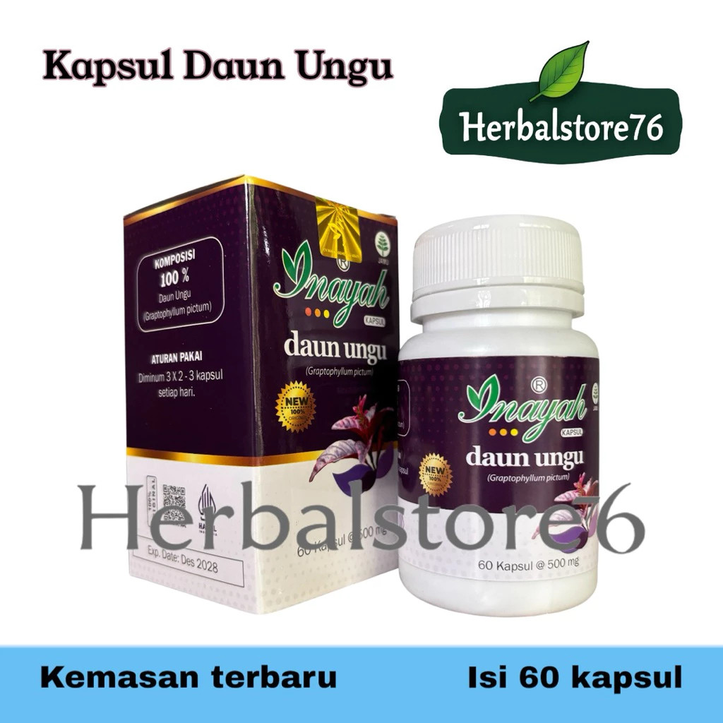 Kapsul Daun Ungu Inayah, Daun Ungu Obat Wasir, Daun Ungu Obat Ambeien (13)